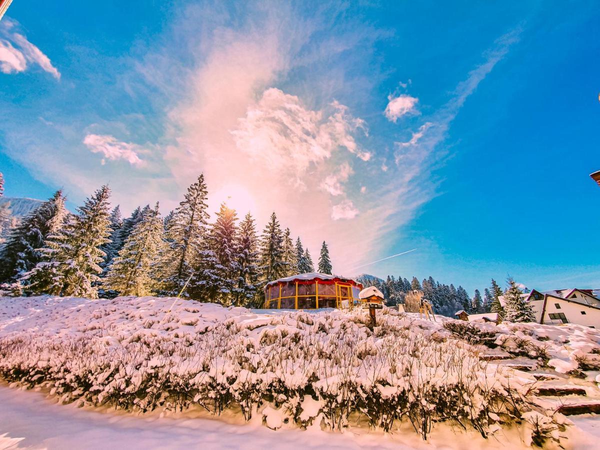 Teleferic Grand Hotel Poiana Brașov Exterior foto